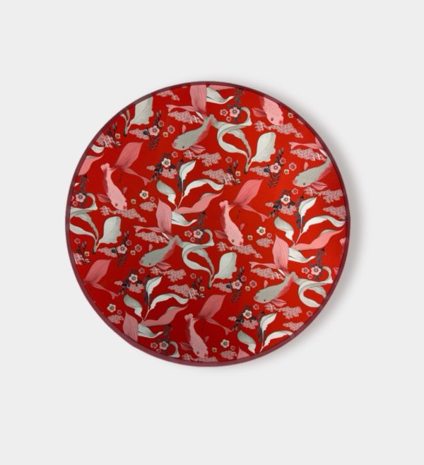 koi front Colourful Koi Symphony
