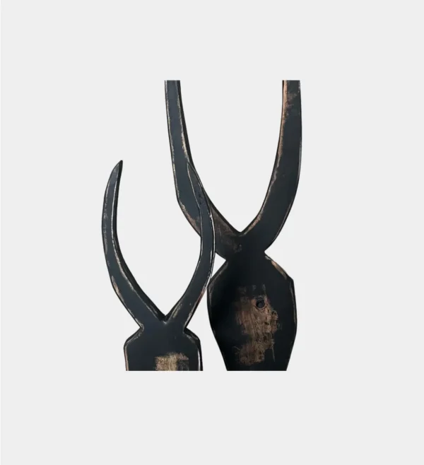 AGED BLACK HORN CLOSE UP 2 Pair of Horns Aged Black