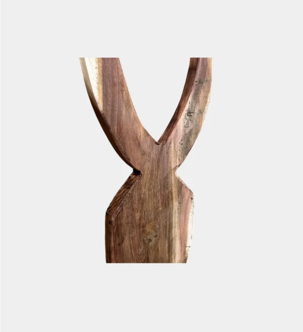 NATURAL HOEN CLOSE UP Pair of Horns Natural