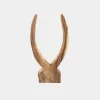 NATURAL HORN CLOSE UP Pair of Horns Natural