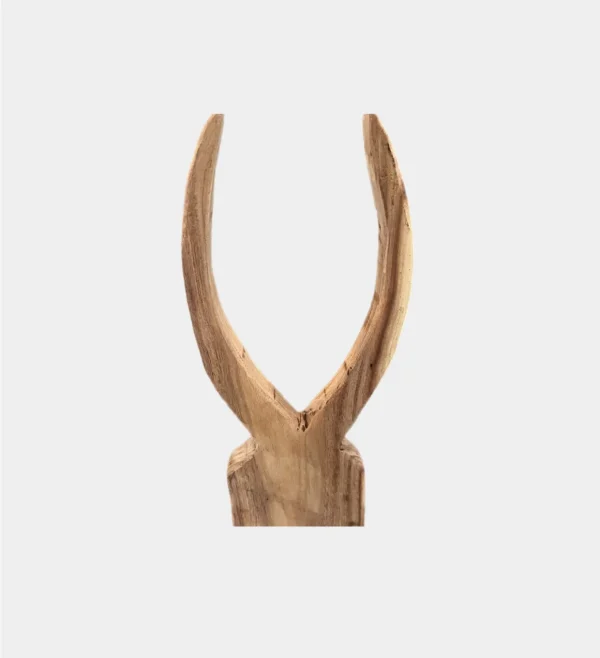 NATURAL HORN CLOSE UP Pair of Horns Natural