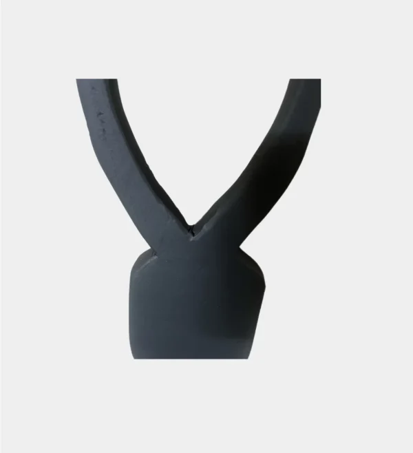 BLACK HORN CLOSE UP Pair of Horns Black