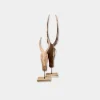Pair of Horns Natural