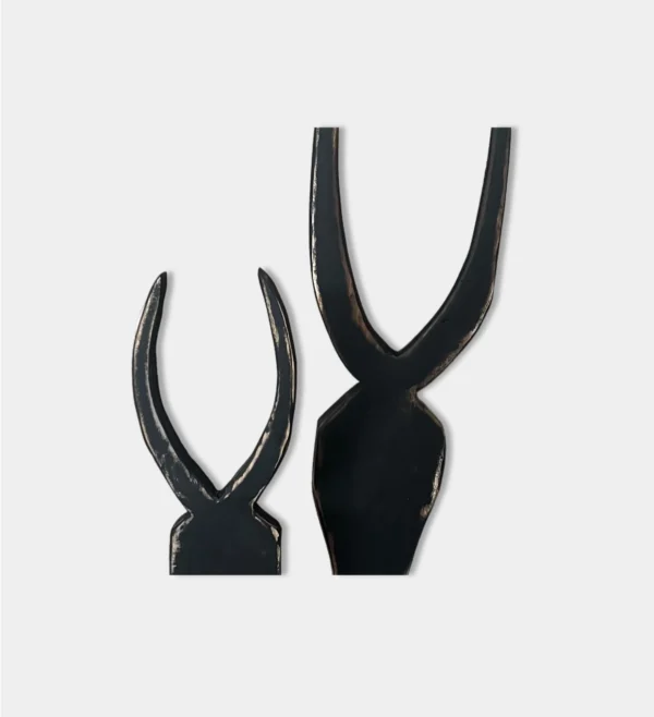 IMG_3946 Pair of Horns Edged Black