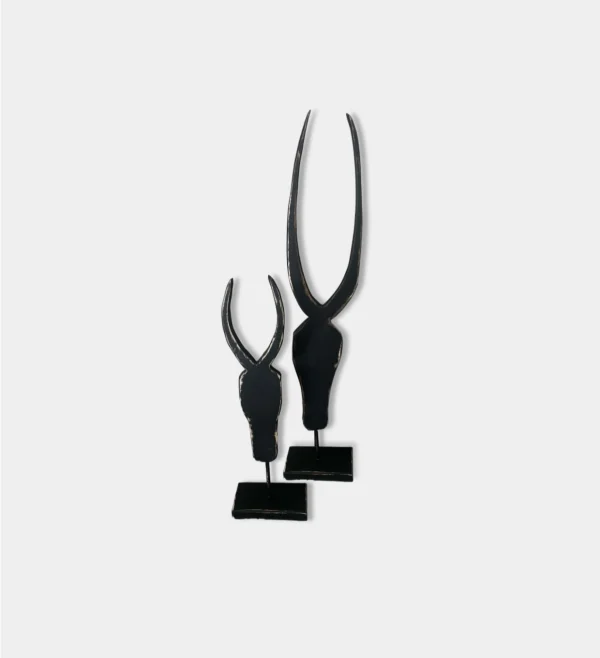 IMG_3947 Pair of Horns Edged Black
